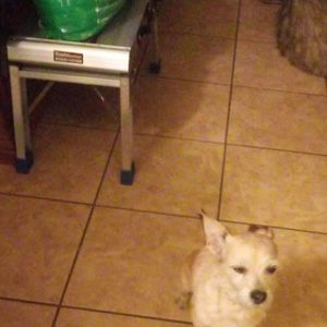 Meet your Posher, Mike